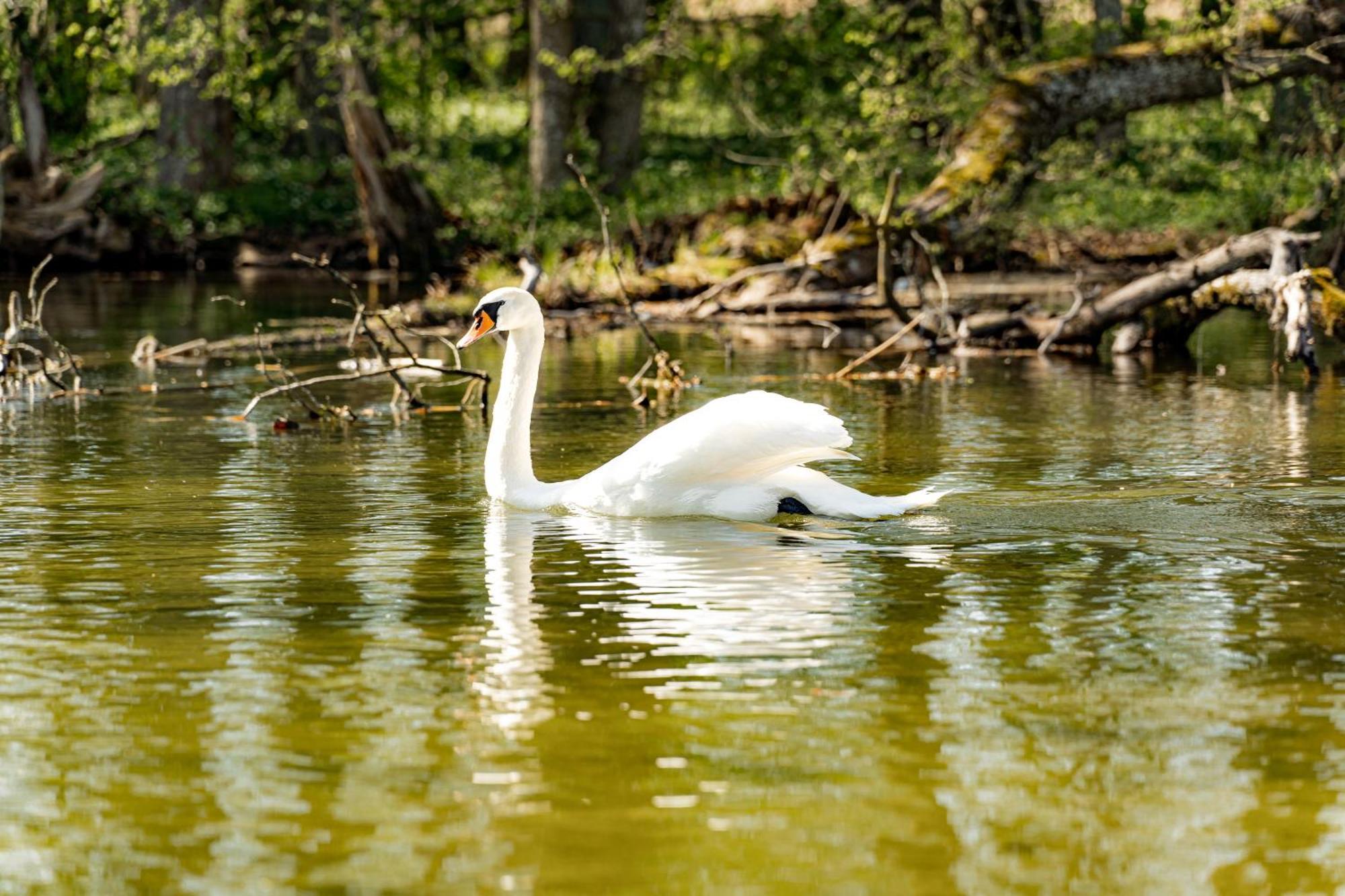 Bed and Breakfast Karczma Zacisze Крутинь Екстер'єр фото
